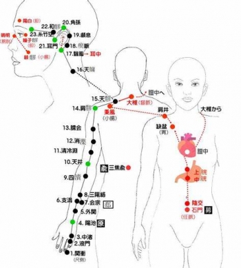 東洋医学 ～正経十二経脈 手の少陽三焦経～ | ／ブログ | ねんざ・交通